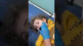 Сеанс ТЛНС