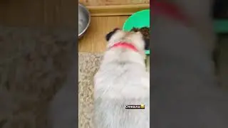 But It mine foob