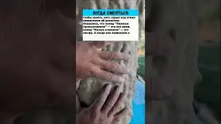 Электрик Алексей 