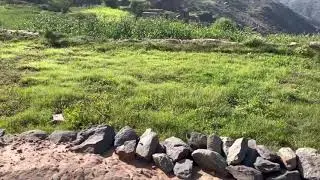 مناظر من جبل قراما