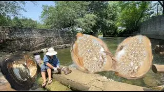 Pearls of such perfect shape and size are too rare, and scallops were found in the village's river