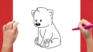 How to Draw A Baby Polar Bear Easy 🎨