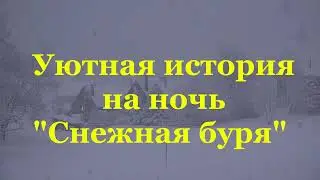 Снежная буря Из цикла Уютные истории на ночь