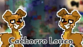 😲Virei Cachorro no Pony Town 🐶