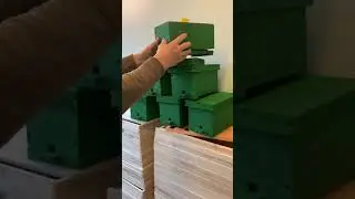 Мининуклеусы.