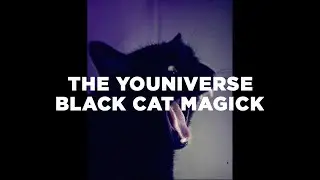 THE YOUNIVERSE: BLACK CAT MAGICK