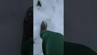 иду гулять в зимней погоде