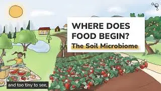World Soil Day: Where Food Begins!