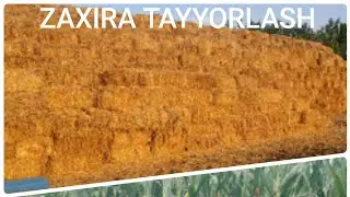 ZAXIRA TAYYORLASH