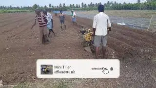 6hp பவர் வீடரில் எப்படி மஞ்சள் பார் பிடிப்பது I (1.5 அடி அகலம்) I Mini Tiller விவசாயம்