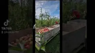 А как проходят Ваши рабочие будни?