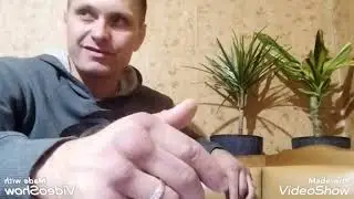 ДРАКИ НА УЛИЦЕ В ДЕТСТВЕ