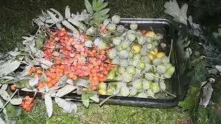 Ритуалы - онлайн на новолуние в счастливую звезду. 1. Наказать подонка. К Дагде и Тору.