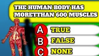 The Human Body Has MoreTthan 600 MusclesThink You're Smart?  1 General Knowledge Questions!