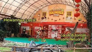 Various Animal Show Taman Safari Indonesia Terbaru