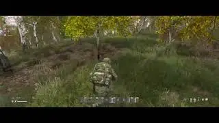 DAYZ | КРИВОЕ ДУЛО У КА-101