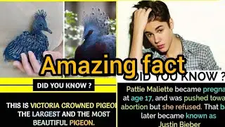 Did you know|Amazing Facts That You Should Know|Did You Know Facts?|GetsetFlyFact|top facts #facts#2