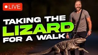 LIZARD LIVE ARENA NIGHT! I Will Use Lazarius in Every Live Arena Battle