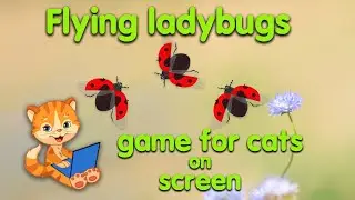 Ladybugs! Entertainment game for cats!!!
