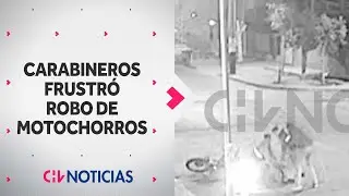 CAPTAN LA RÁPIDA ACCIÓN de Carabineros al frustrar robo de motochorros en Puente Alto - CHV Noticias