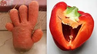 Unusually Shaped Fruits and Vegetables #2