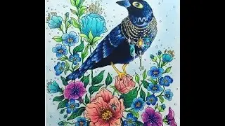 Hanna Karlzon - Dagdrömmar - The Dreambird with Polychromos - Part 1