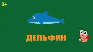 Умные детишки очень любят книжки! Песенки, сказки и мульт-уроки для детей от 2 до 5 лет.