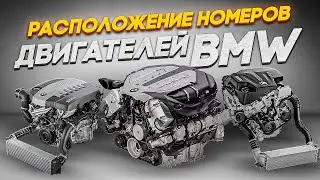 Номер двигателя BMW | Расположение, все моторы