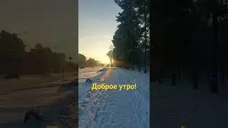 Ангарск 24.12.23 на улице лето :) -9