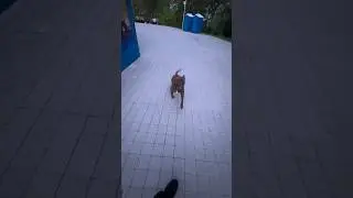 Не спрятаться и не убежать 