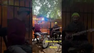 Необычный инструмент - Bass VI в действии
