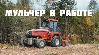МУЛЬЧЕР В РАБОТЕ ДЕСНА-ПОЛЕСЬЕ.РАСЧИСТКА СЕЛЬХОЗ ПОЛЕЙ ОТ ДЕРЕВЬЕВ И КУСТОВ.МУЛЬЧИРОВАНИЕ ПОЛЕЙ ДКР.
