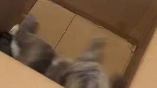 Play time!