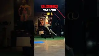 Day 8 PLANCHE🇮🇳🔱🚩✅💯#calisthenics #remix #music #dj #bollywood #song #motivation #ytshorts