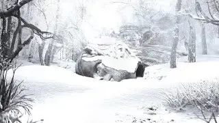 SZNZ: Winter - Why don't you get me? (low quality)