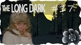 The Long Dark [Facecam] #17 Auf der Suche nach Holz [Let's Play] [deutsch]