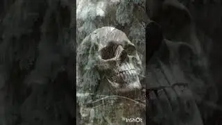 TERRIBLE FUNERAL
