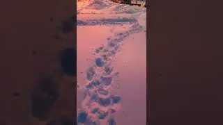 прогулка удалась