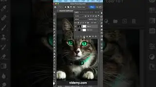 Photoshop Programını A'dan Z'ye Videmy.com ile Öğrenin #shorts