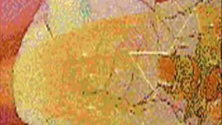 Sailor Moon Video ***BETTER VERSION***