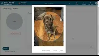 DRC Request Profile