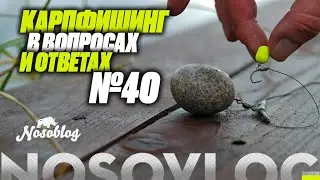 Карпфишинг в вопросах и ответах #40, Артём Колесников