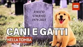 CANI e GATTI riposano nella tomba con i PADRONI