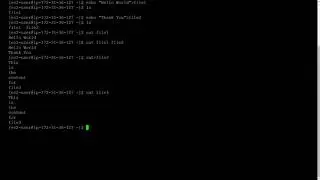 A closer look at the 'cat' command in Unix