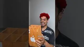 QUANDO OS IRMÃOS FICAM SOZINHO