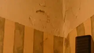 Voro kampe ir musyčių tusovačka