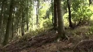 Neil Donoghue - Downhill Mountain Bike Trails