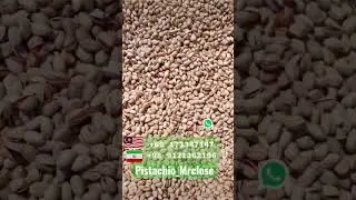 Pistachio MRClose