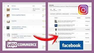 Sincronizar WooCommerce con Facebook e Instagram | Productos y Píxel | Paso a Paso | 2022 | Diegol