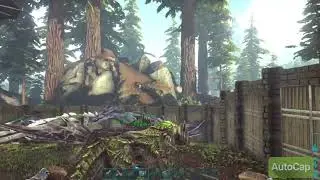 Wtf was that?